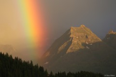 Zwitserland