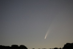 neowise