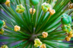 IMG_9786-2