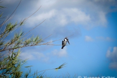 DSCN1541_YK-10
